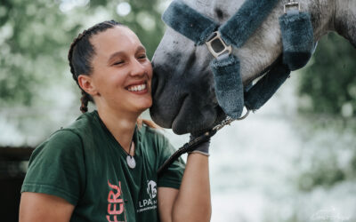 Harmony S.H. Marechalerie