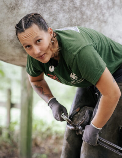 Photo d’Harmony Sauvrezy, maréchale ferrante à Mimizan, en plein travail, illustrant son expertise et sa passion pour le soin des chevaux