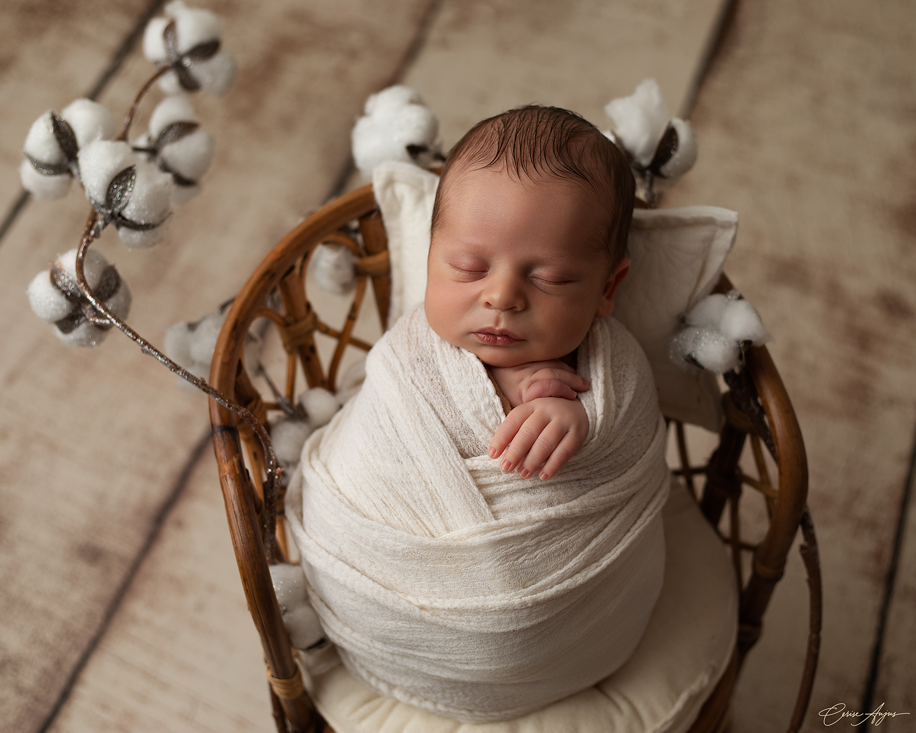 Photographe bébé Landes Mimizan Parentis Biscarosse Sanguinet