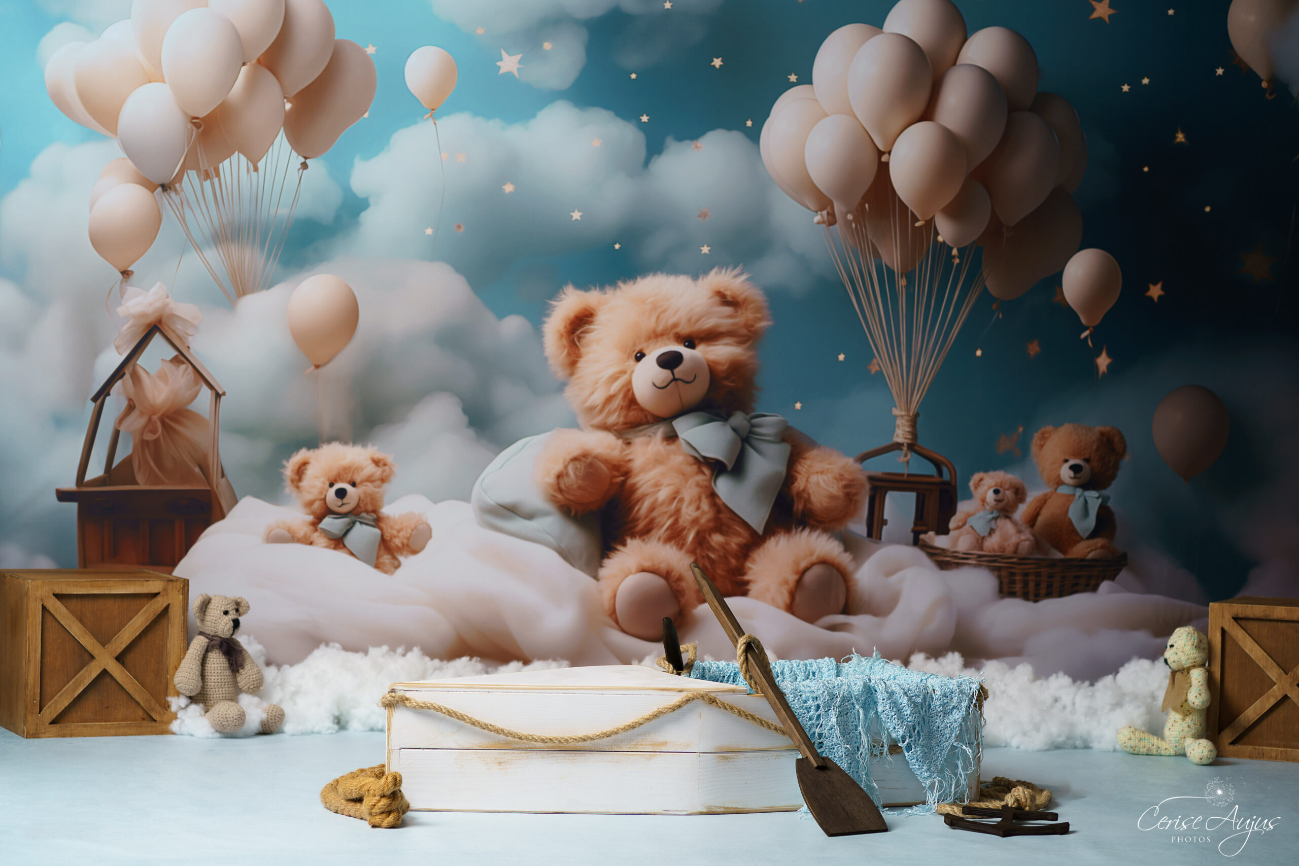 Décor oursons et montgolfières