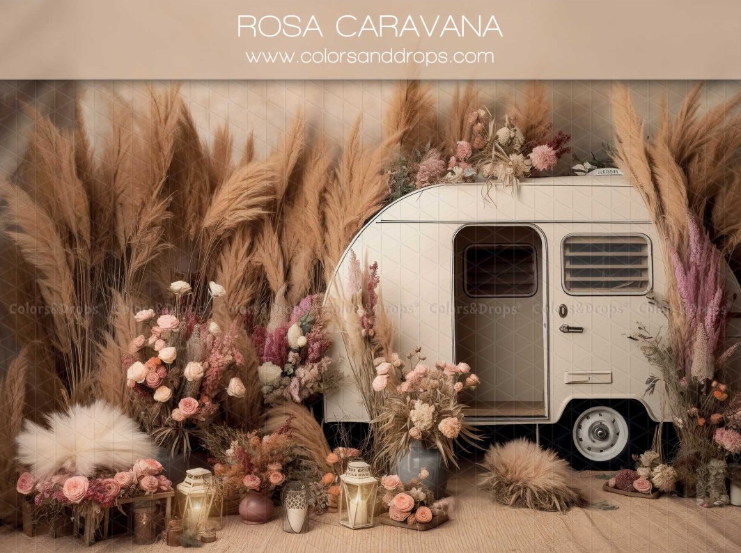 Décor bohème caravane tons chauds et herbes de la pampa